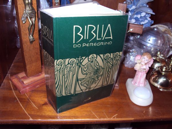 Bíblia do Peregrino (capa cristal - 9788534920063)